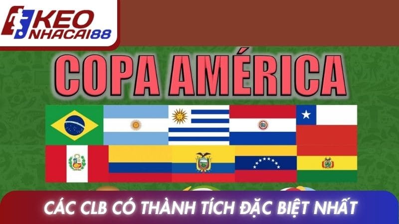 Các CLB có thành tích đặc biệt nhất đấu trường